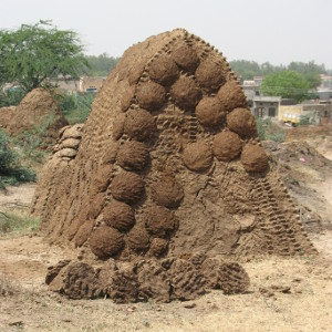 dung cakes pile